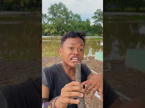 minta bagi sepeda listrik ehh malah di kasih beneran thumbnail