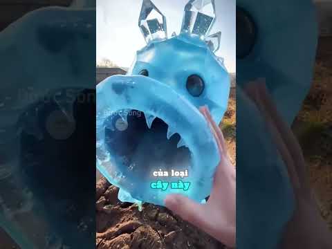 Trang Trại Này Trồng Những Cây Giống Như Trong Game thumbnail