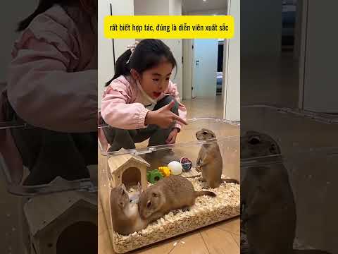 Cũng chỉ miếng ăn thôi thumbnail
