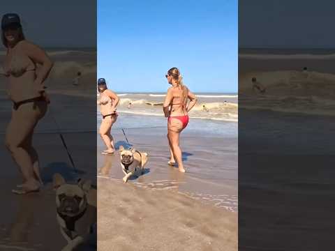 ?? Pinamar Beach A Happy Day thumbnail