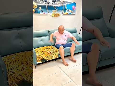 Hungry to Full… Then a Crazy Sofa Transformation! ??? #Shorts thumbnail