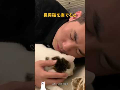 飼い主を愛しすぎた猫 thumbnail