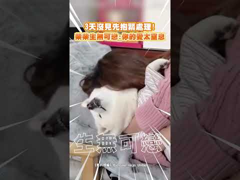 3天沒見先抱緊處理！柴柴生無可戀:你的愛太窒息｜觸咪 thumbnail
