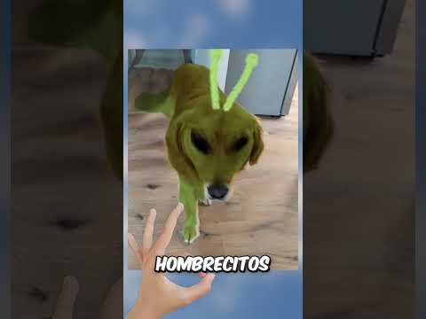 Por primera vez estar ciego va a ser superior a ver en 4k thumbnail