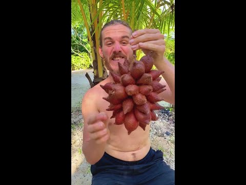 One Bite Of This Fruit And.. thumbnail