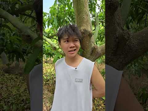 ??????????? | Cầu Cứu Mẹ #longcaolanh #htl #viral #shorts thumbnail