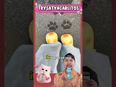 “SANDAL PAW PAW TELAPAK DOGGIE” 🩷✨ #shortsvideo #shorts #paw #funny thumbnail