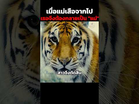 เมื่อแม่เสือจากไป เธอจึงต้องกลายเป็น "แม่" #shorts thumbnail