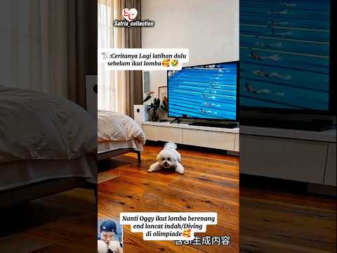 Ceritanya Lagi latihan dulu sebelum ikut lomba🥰🤣 thumbnail
