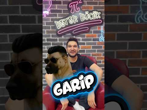 Zengin vs köpek isimleri ￼ thumbnail
