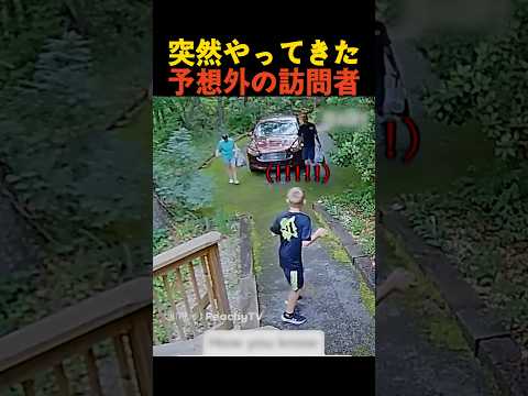 突然やってきた予想外の訪問者 thumbnail