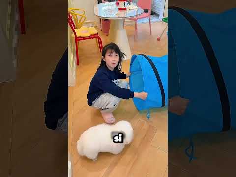 Se Perdió El Gato En El Túnel 😱 thumbnail