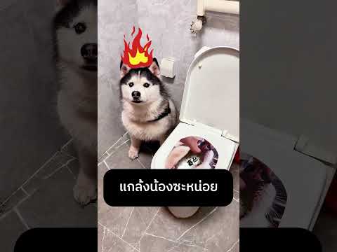 แกล้งน้องซะหน่อย thumbnail