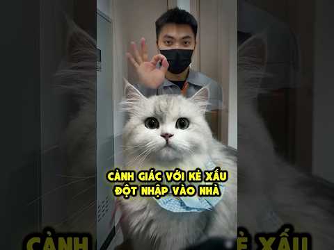 Kẻ Xấu Lợi Dụng Đột Nhập Vào Nhà ☠️ thumbnail