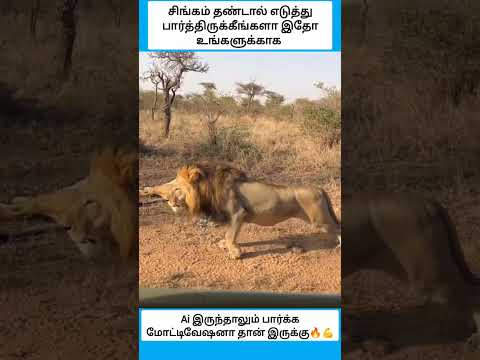 Ai இருந்தாலும் பார்க்க அருமை #shorts thumbnail