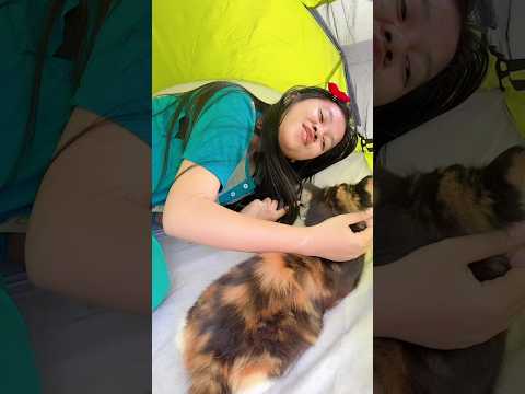 Tidur di tenda #fypシ #shorts thumbnail