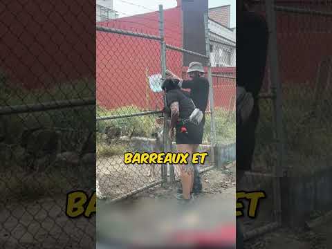 Ils n’ont pas ignoré ce pauvre chien ? thumbnail