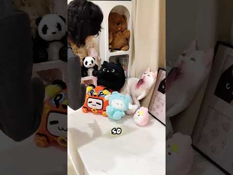 Mom Hates Black Cats—So They Pull Off the Perfect Hideout! #usa thumbnail