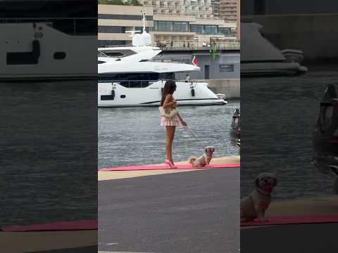 Monaco Life #monaco #millionaire #luxury #life thumbnail