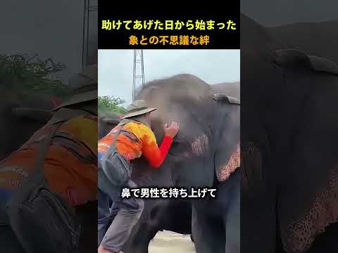 世界で一番忠実な動物 thumbnail