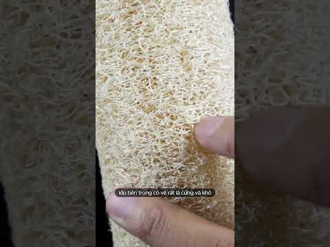 mướp khô thumbnail
