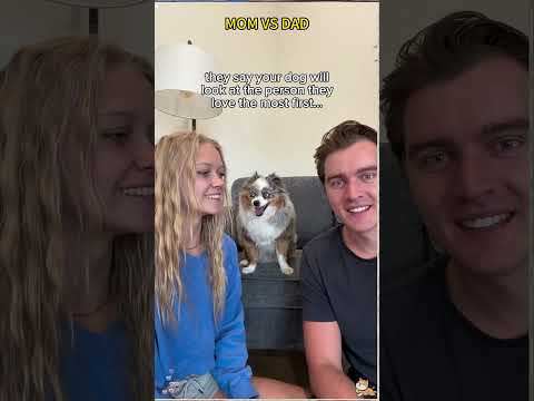 Dad vs mom #dog #challenge #fyp #pet#lovemore thumbnail