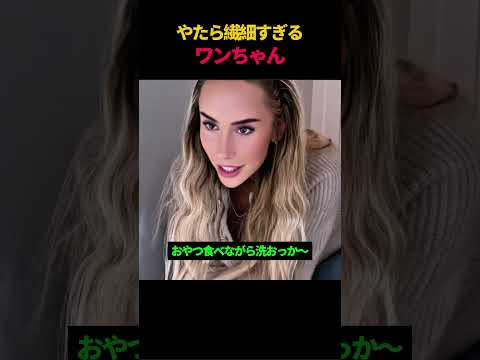 やたら繊細すぎるワンちゃん thumbnail