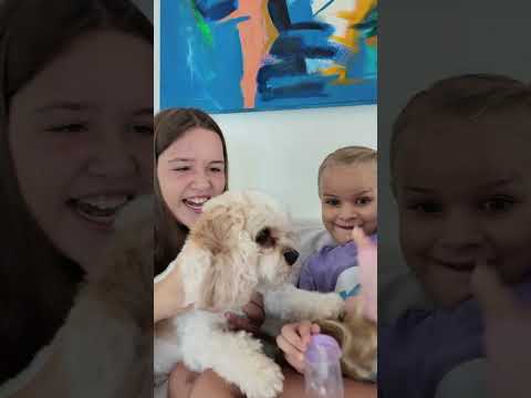 sharing #kidssong 🤣 thumbnail