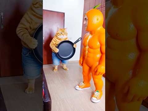 Funny Cat video Dancing Polish Cow funny cow dance Udin Din Din Dun funny video Orange ASMR #udin thumbnail