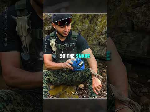 He Outsmarted the Snake ?? #shorts thumbnail