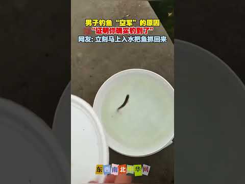 你这是飞鱼😄 thumbnail