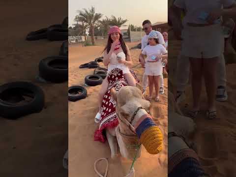 ?Egypt,Cairo??  #travel#egypt#shorts#safari thumbnail