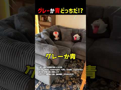 グレーか青どっちだ！？ #shorts thumbnail