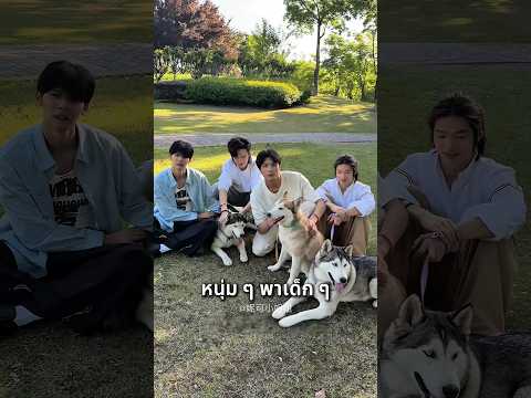 เมื่อหนุ่มหล่อ 4 คน ขอช่วยจูงฮัสกี้? thumbnail