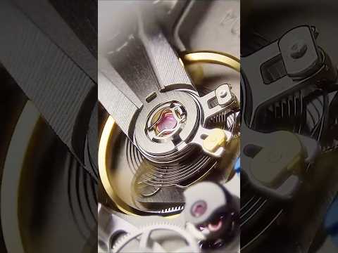 Getting Up Close: The 360° Microscope thumbnail