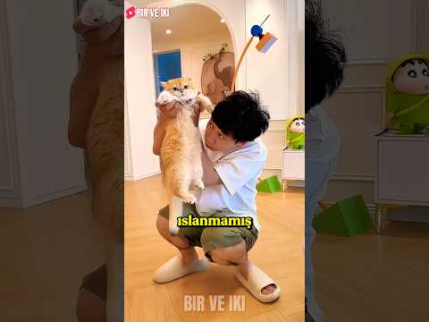 Koltuğu Islatan Suçluyu Kameradan Buldular! 😱🤫 thumbnail