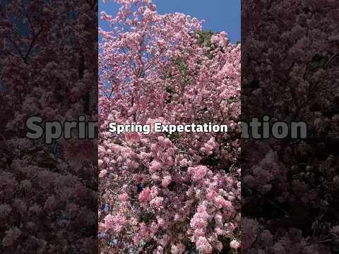 First Day of Spring Expectations vs. Reality thumbnail