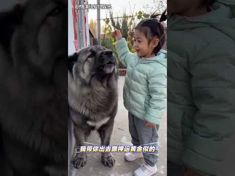 能不能可爱点 thumbnail
