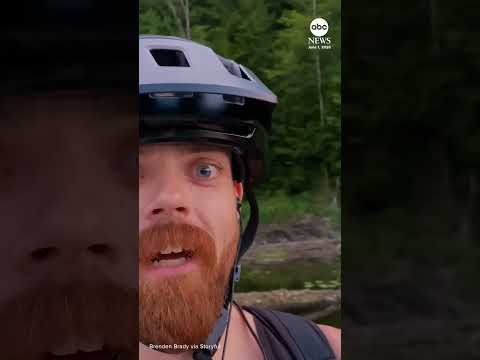 Cyclist has close encounter with bear crossing pedestrian bridge thumbnail