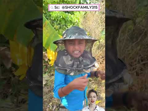 🐝🍯 Khám Phá Tổ Ong Đầy Mật #shorts thumbnail