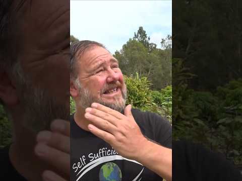 Gardening is EASY thumbnail
