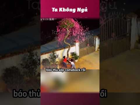 Báo thủ comebackkkkk 🐦‍⬛ #takhongngu thumbnail