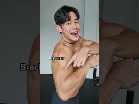 This Helps You Understand All Your Muscles Fast thumbnail