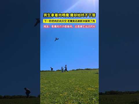 男生拿著肉喂鷹，鷹卻始終不下落，下一秒把肉扔向天空，老鷹竟迅速俯衝接到了肉，網友：老鷹的爪子很鋒利，還是離它遠點的好！#shorts thumbnail