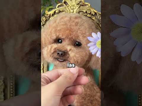 Perdió a su perrito thumbnail