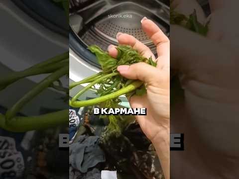 От жены ничего не скроешь😁 thumbnail
