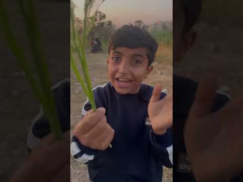 شو عم ياكلو #mahdi_الخال thumbnail