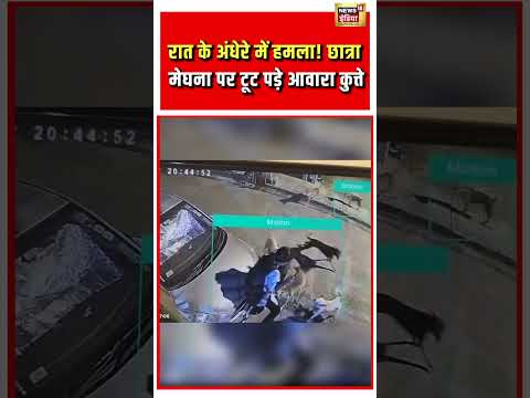 Street Dogs Attack On Girl | रात के अंधेरे में हमला! छात्रा मेघना पर टूट पड़े आवारा कुत्ते | #shorts thumbnail