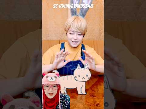 kucingnya lucu banget‼️hayataku5348 thumbnail