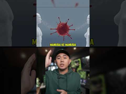 Hanta virus Merebak Atas Kapal Persiaran Mewah? thumbnail